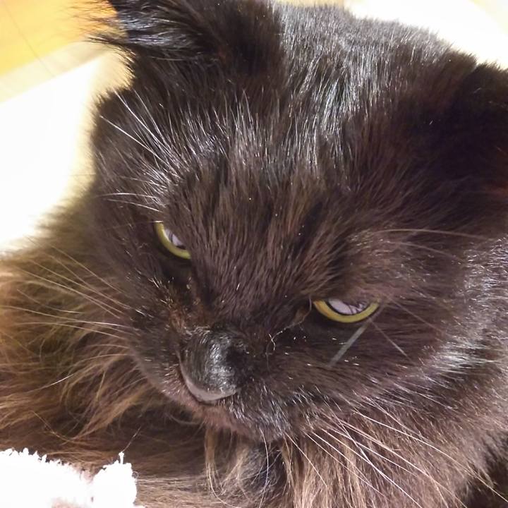 0fd1378c 4c77 40a6 90e8 6e99c7dce0f4 1573475152218