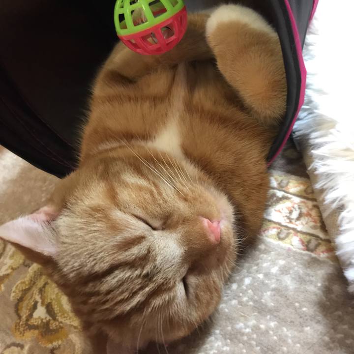 0fd15da6 2ce8 4989 aa37 d0cd3e348af2 1519456069030