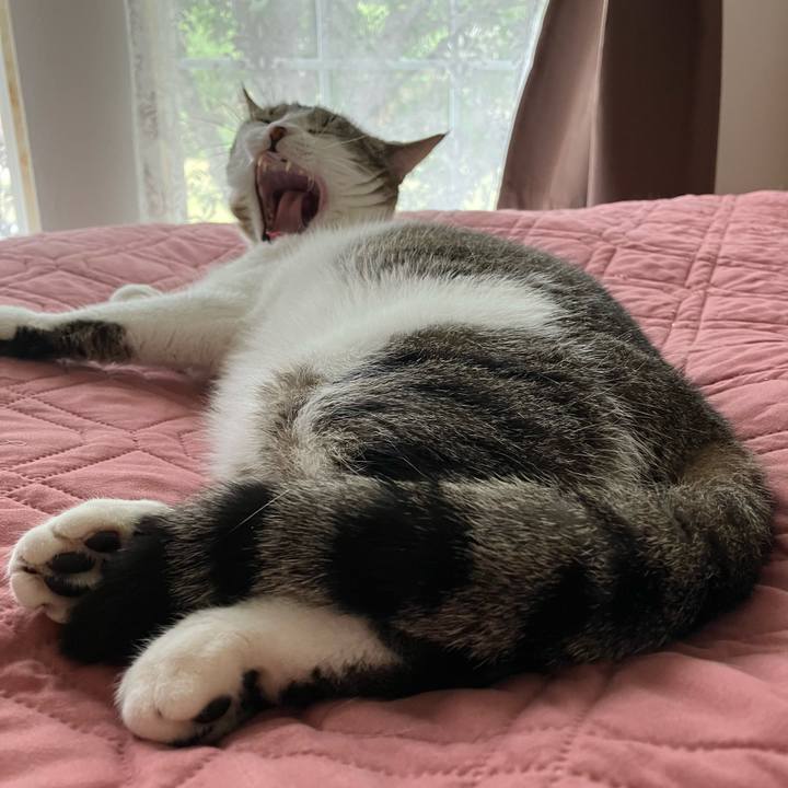 0fd16c83 f748 44f5 bd48 638c075511dd 1683759949117