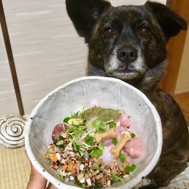 0fd16f93 8974 42a1 82d0 d93352b0d53b 1516854907905