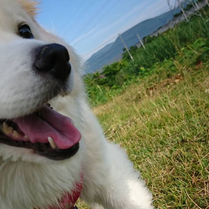 0fd17f9b 869f 468b ad76 3a4ba4c6e4dd 1529789676701