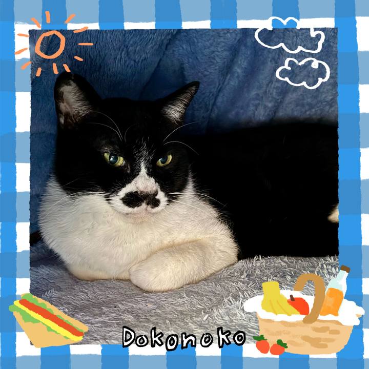 0fd182ad 7aa3 4488 b0ff b05854016087 1744345130713