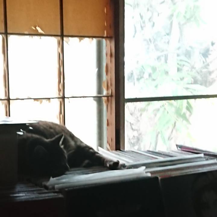 0fd183f2 93f1 465f abf3 e08ad91d8648 1656985523969