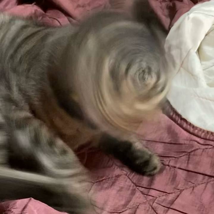 0fd19389 a5ad 4aab 81de 808bc1cbbcf8 1609856661339