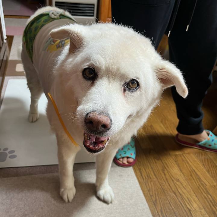 0fd19f5b 858e 4cb0 98be 2e92570e5533 1759706778243