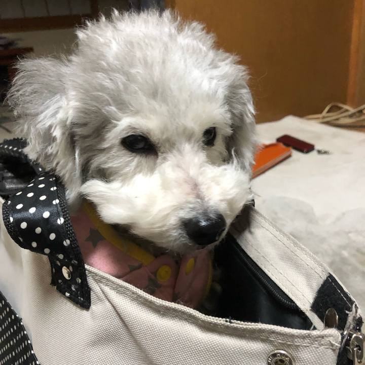 0fd1c2aa c644 4797 8c60 f8ac23c0be28 1545353904885