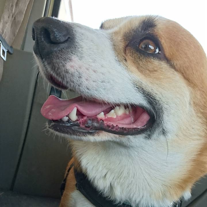 0fd1d94f 9ff6 43a7 9e1f f30f4ea12553 1653772914039