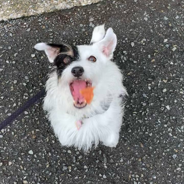 0fd1ec0b 1abd 47a9 97a8 b8baf2367c3f 1661902881079