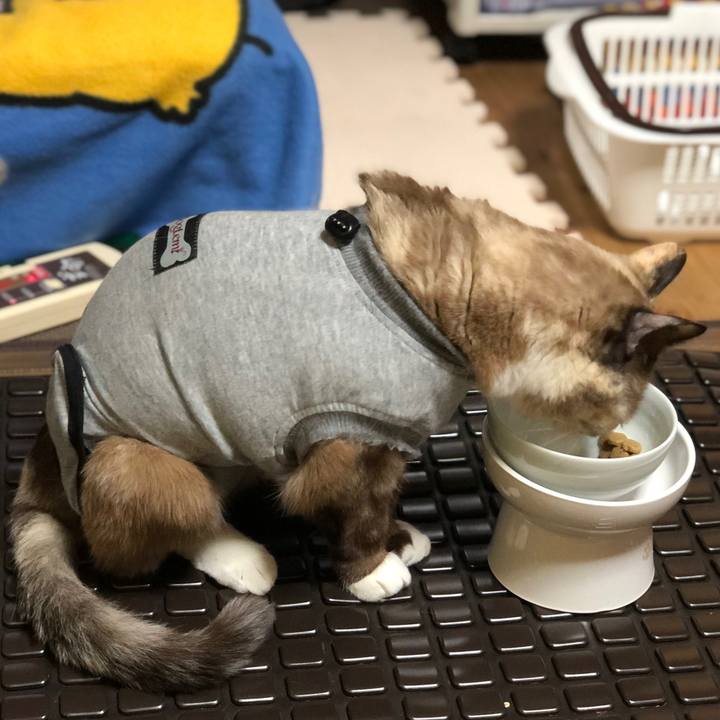 0fd2461a 0aa3 4d8f a3b8 3a6043f48b1d 1667310257745