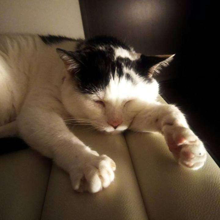 0fd28b05 ecac 4d36 ae7d addef4360e12 1566905174864