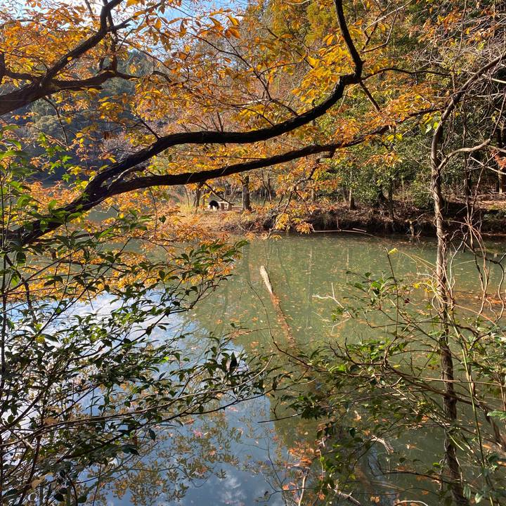 0fd2924c 3001 42b1 ae64 67b9b350ce60 1638772404191