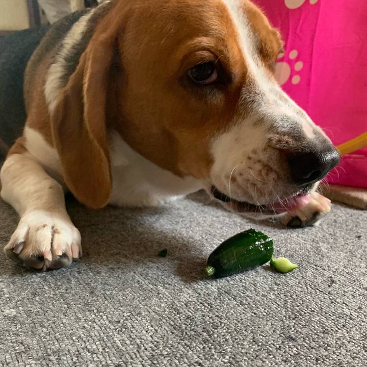 0fd2abbc 03c8 4142 bcee 6917122cb6a8 1564289775964