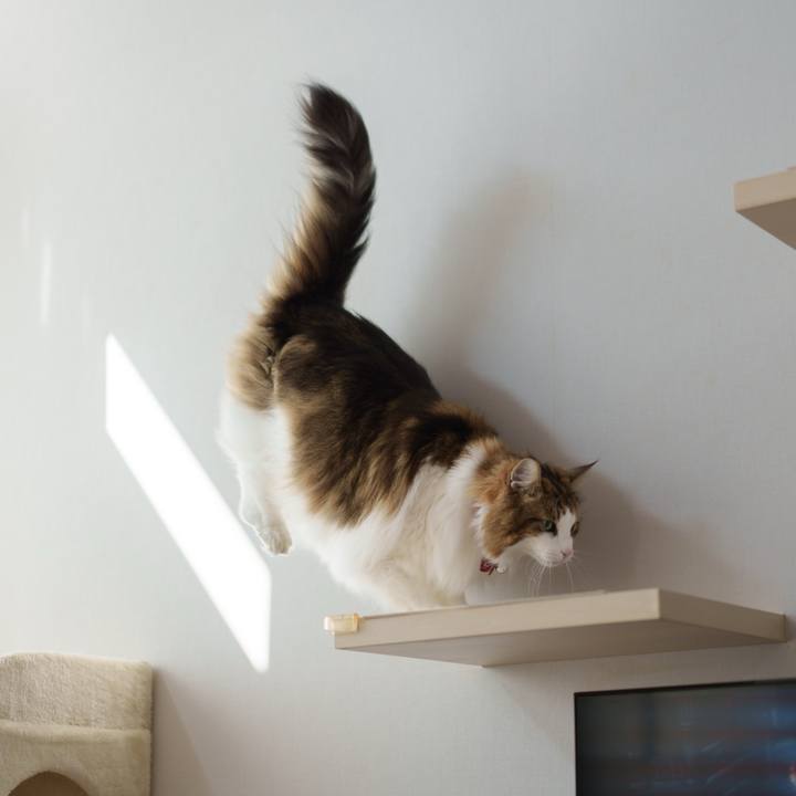 0fd2eeb0 2230 45dc b266 37f08fbafc61 1764908237057