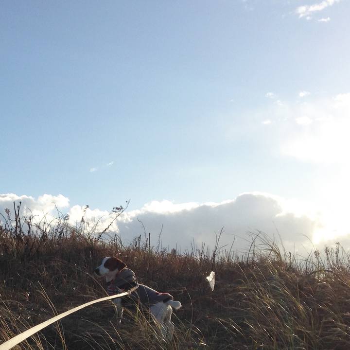 0fd3447f 7716 4c54 95cf 43213d35a5ab 1512635611900