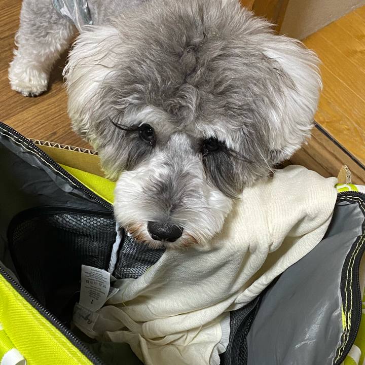 0fd351f2 be9d 40e0 9b36 5169707b3720 1603208885699