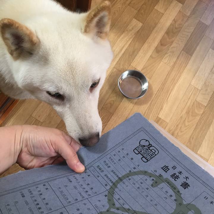 0fd358c1 b917 47e9 850c 7e779e91b790 1535237909196