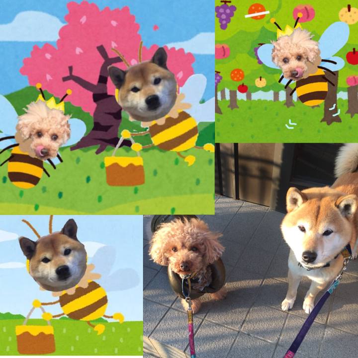 0fd37685 22c1 49db 81a4 f142f8050b35 1519806472115