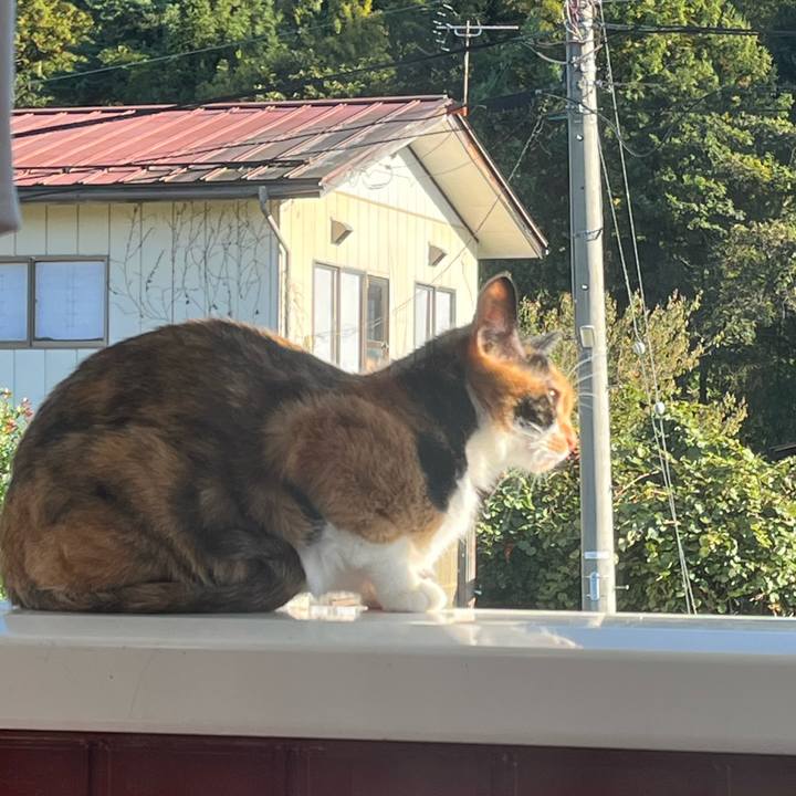 0fd3b429 2b89 4c40 8ec6 626c12f996de 1666185904636