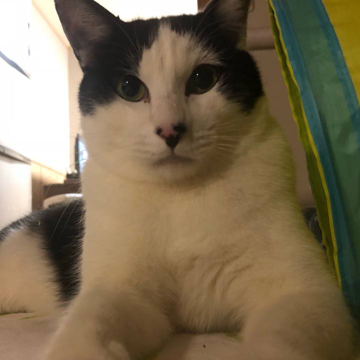 0fd3bbd9 ec2f 440a a54c 5321ea370d99 1550230422724