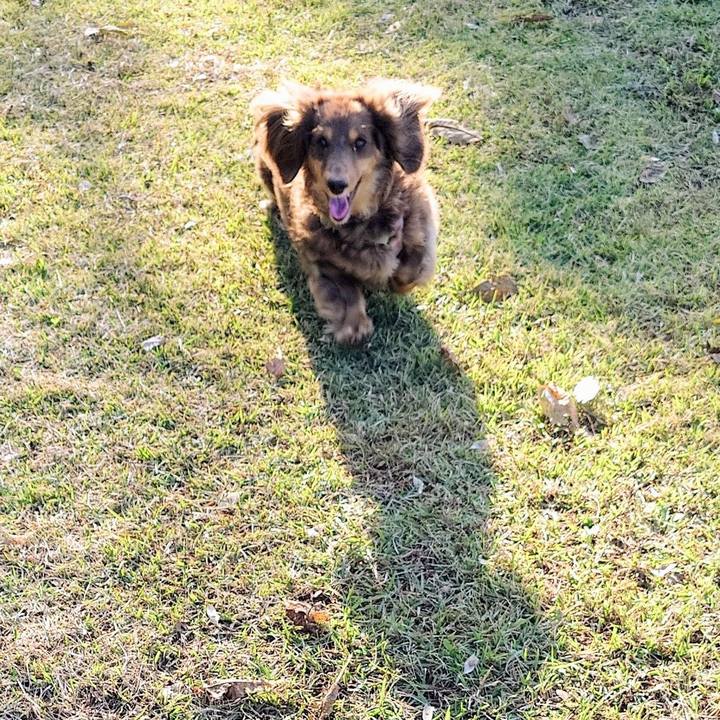 0fd40032 1546 41a0 b6ff fb99d05a3c5b 1730681817478