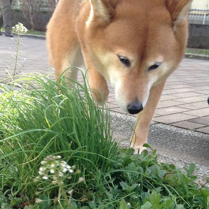 0fd400c0 6e14 48c1 bbe4 e466b437a0d9 1549770898733