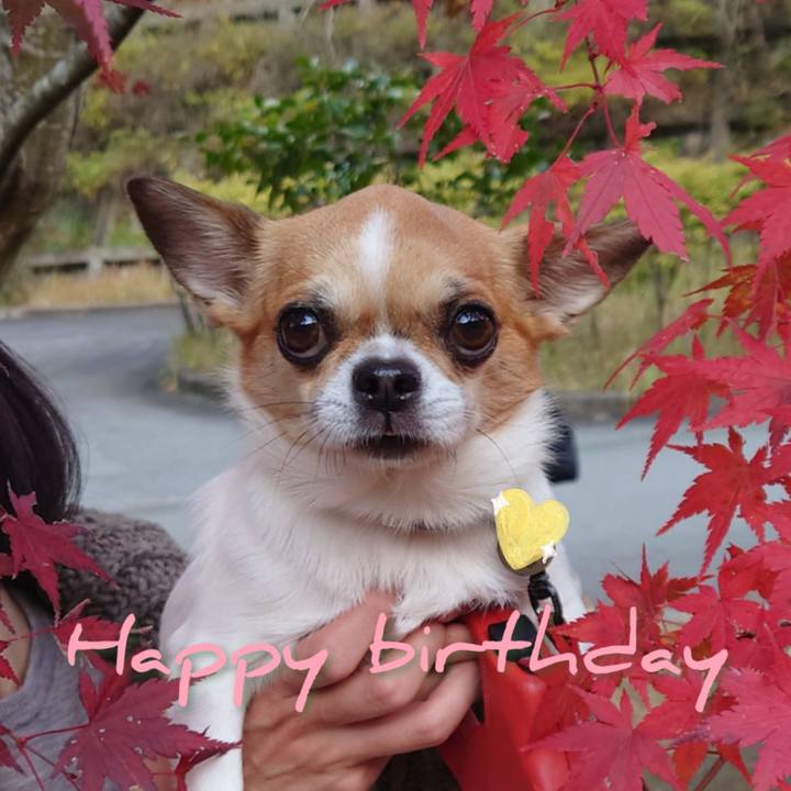 0fd417a2 35fb 4153 bbc1 dcf5f8cd0fd8 1637382183215