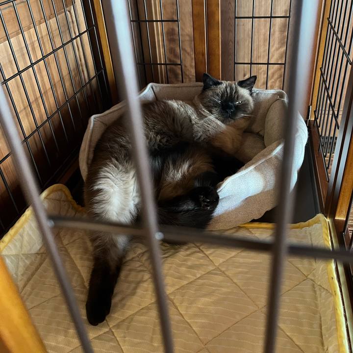 0fd449eb 081c 479d 92ed 101229f04bad 1634996987182