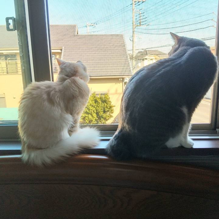 0fd44b30 f79b 419c 9c3a 665657f6cfc3 1611278600627