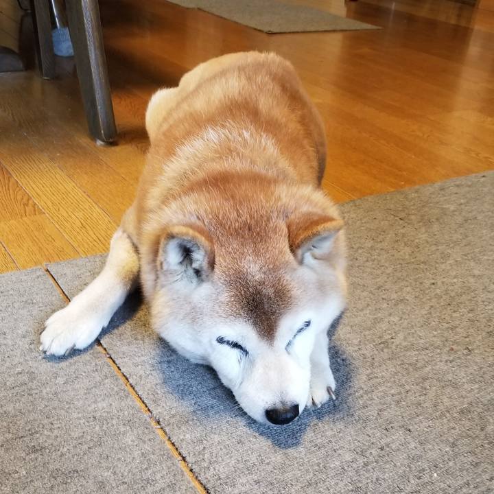 0fd466e5 3b48 4ac2 89fd c37b5b448067 1743492513034