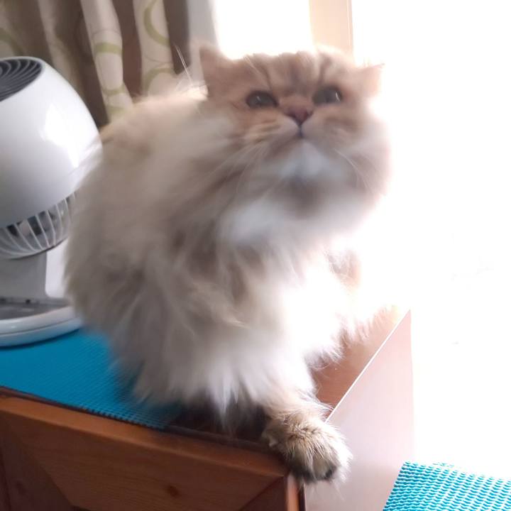 0fd47773 a950 4ffe 9c28 34e0db8f58a5 1606267450020