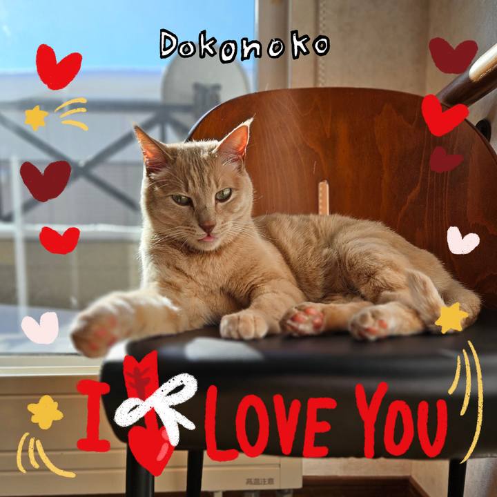 0fd4ccdf 3ab2 47a5 8f3c 6cb10a7c4abd 1707018788420