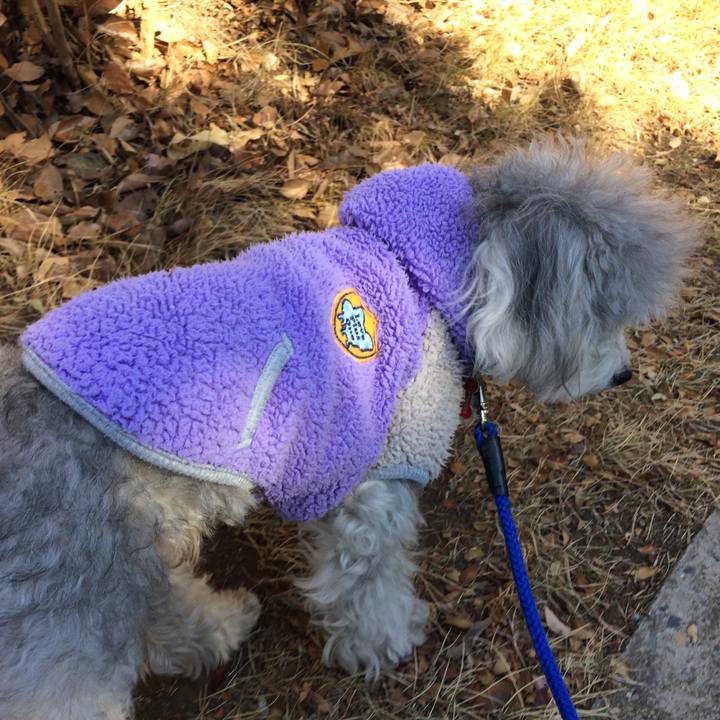 0fd4eda0 0157 463a a2df 146a43405056 1515472336473