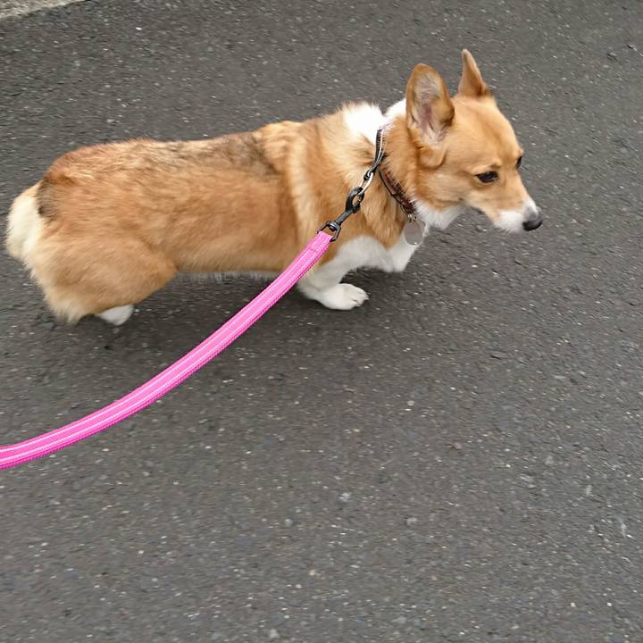 0fd54d57 dc9d 47bb 9e78 338dfd87f7d0 1527733502468