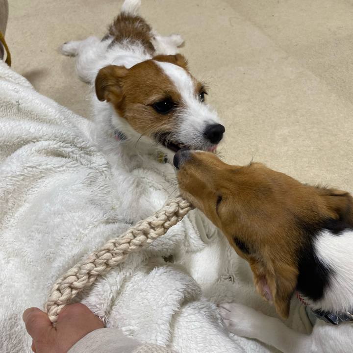 0fd5504a 3f0f 4592 82ff 4a7c2124e461 1748380234698