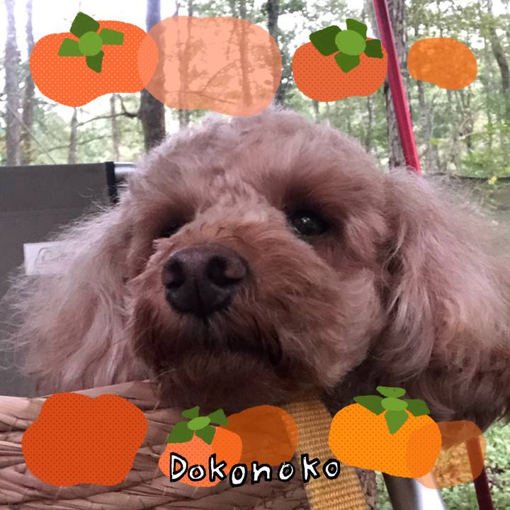 0fd55665 c323 4bc9 8274 0d639111bda2 1761139134596