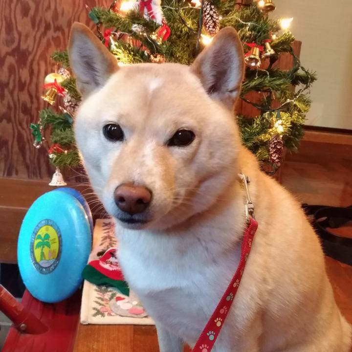 0fd5780a 1ab7 40b7 9228 569d85094858 1608637049326