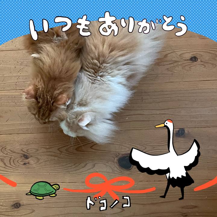 0fd59beb e277 4a68 8b68 61ad7805b423 1727047442430