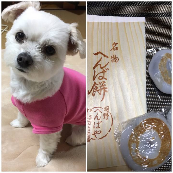 0fd5a3f4 78ec 459c af09 33ebe3afc366 1547633136099