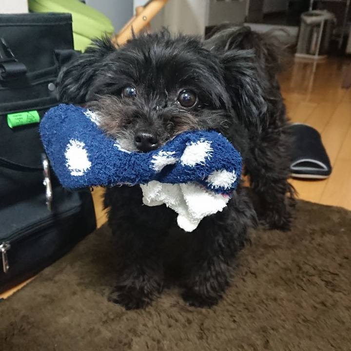 0fd5acbd b585 4f88 bfc4 a8725dd50405 1514740129609