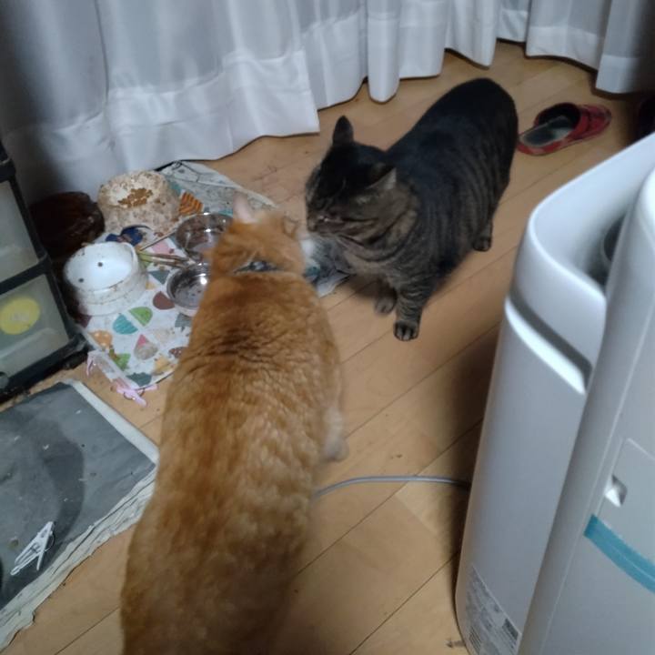 0fd610b0 5e06 4586 af79 6db2ae53e26f 1674167297614