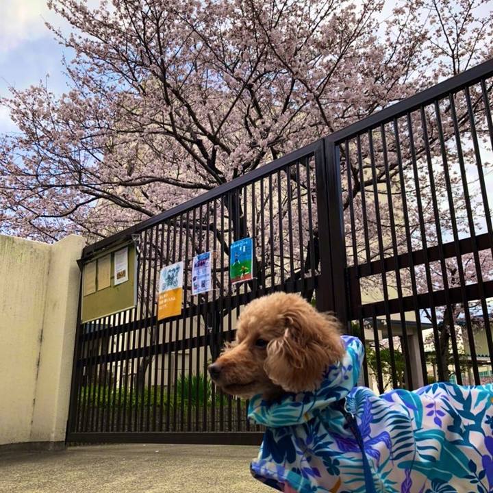 0fd63d34 f425 4ad3 94e9 88500d25b2eb 1649667400386