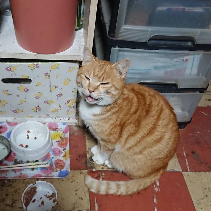 0fd66d10 28d1 4ad4 9e22 0295b27bad5c 1582746750468