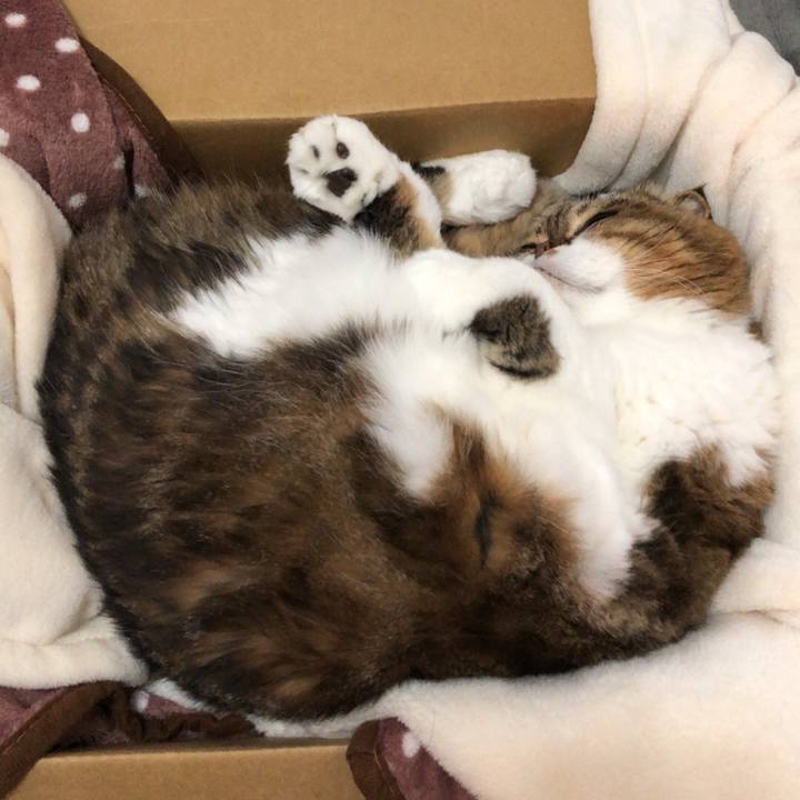 0fd6731f 9c96 4f17 890a 169b8881d75e 1541310269417