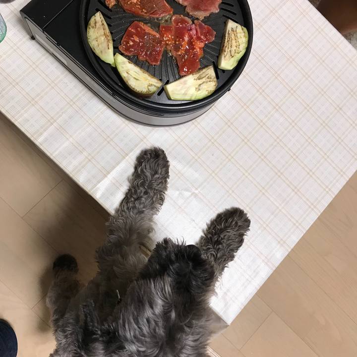 0fd6749c 2bf3 4f00 a1b5 9b8a3a4d36c7 1535884363162