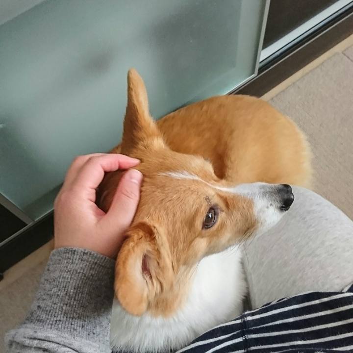 0fd6900e 80ae 483a 8abe a7d087f5626c 1522020832974