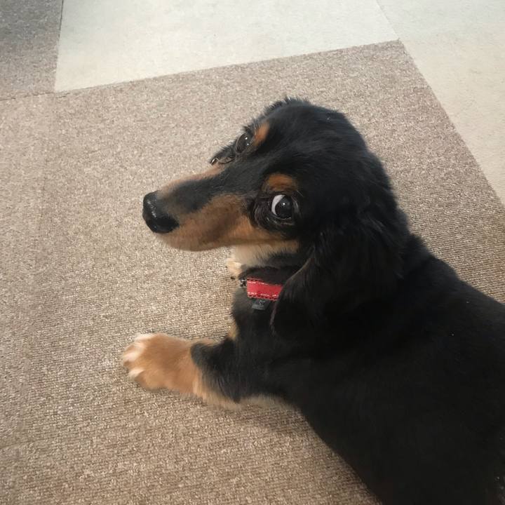 0fd6a89f fc56 41e6 b94e bbc5e8255a2e 1542233221595