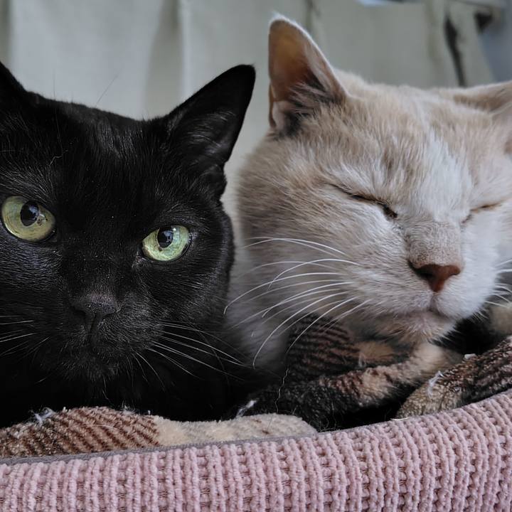 0fd6c99f 385a 40d3 8bfb 7c2502cea795 1773650910133