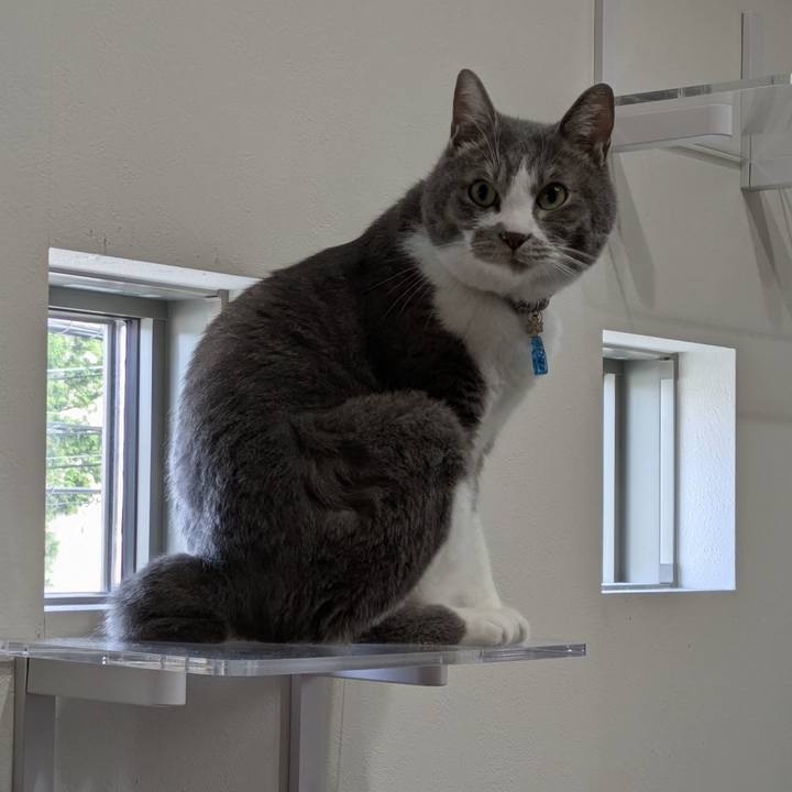 0fd6ec02 5352 45e4 a2e7 38c7de1e46ad 1751179772090