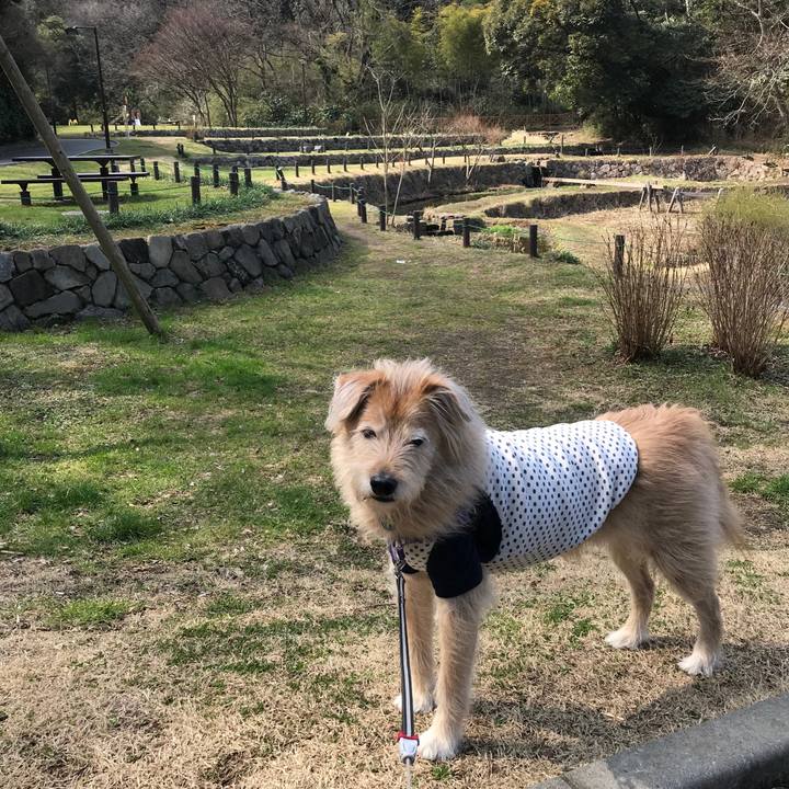 0fd6f139 7c19 4a97 a28b 5624b1bd7d10 1551513815170