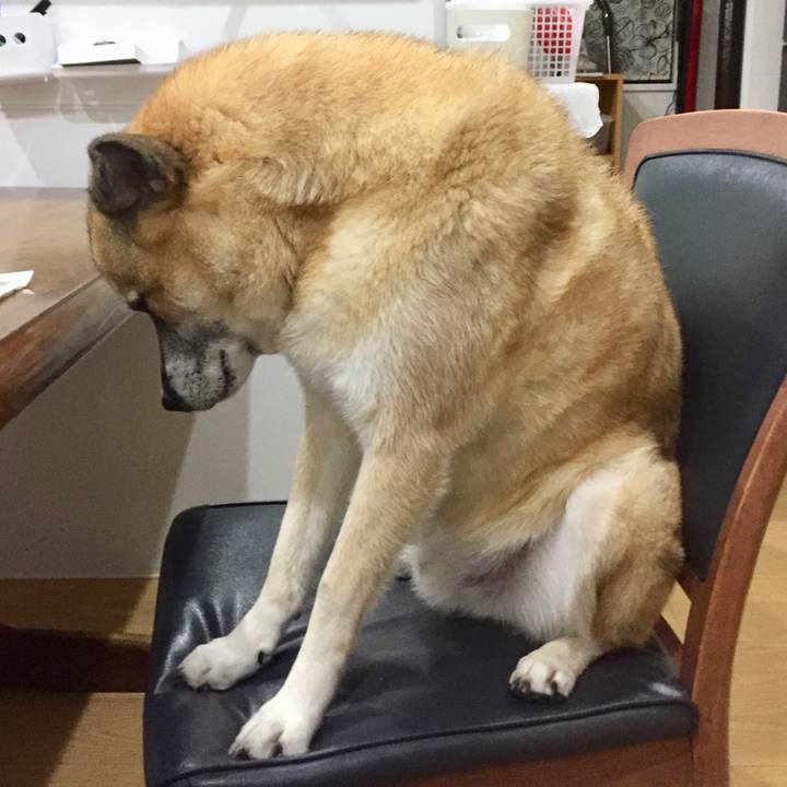 0fd6f9d5 4213 4490 b283 c72de3c21166 1574077221510